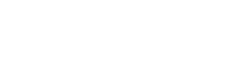 Fabio Nass Web Solutions